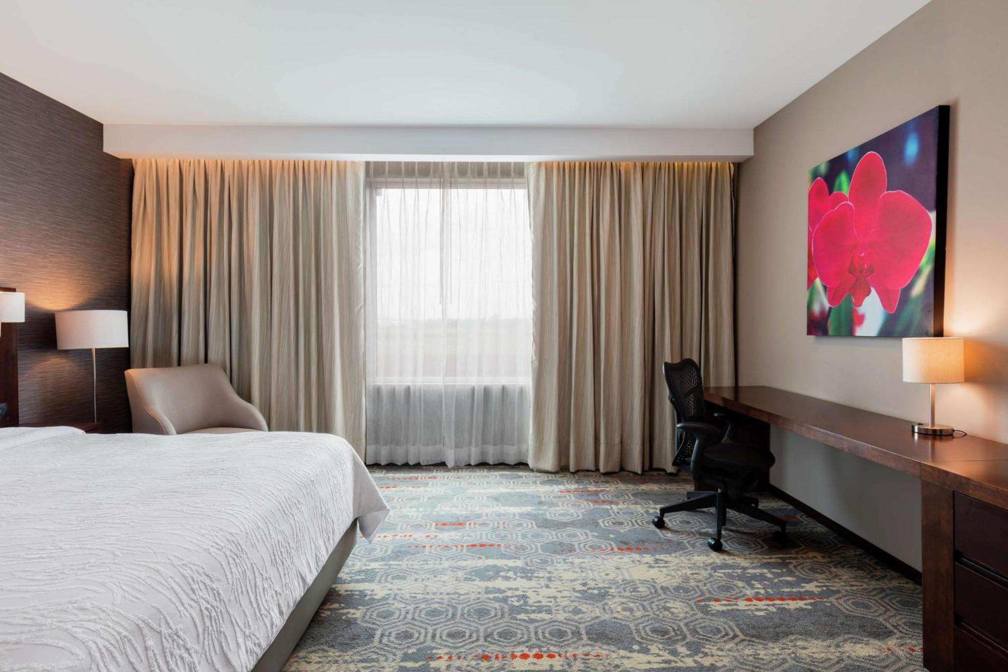 Hilton Garden Inn Salamanca Exterior photo